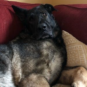 BUNDLE DISCOUNTS/OFFERS